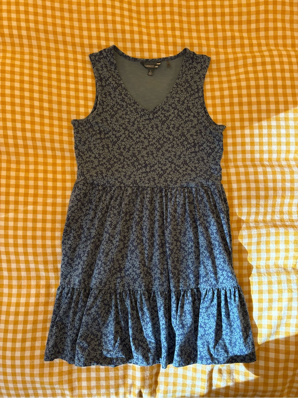 Toad & Co dress
